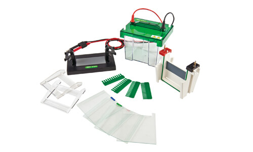 Regulatory Compliance in Laboratories: Exploring ISO/IEC Standards for Vertical Electrophoresis