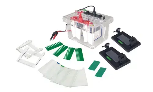 فهم مبدأ التشغيل والأساس العلمي لجهاز YR03426 Mini-Protean Vertical Electrophoresis Cell