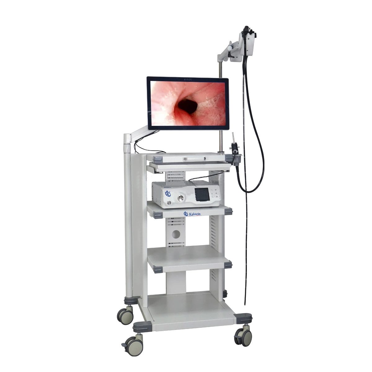 Veterinary Video Endoscope High Definition YR06147