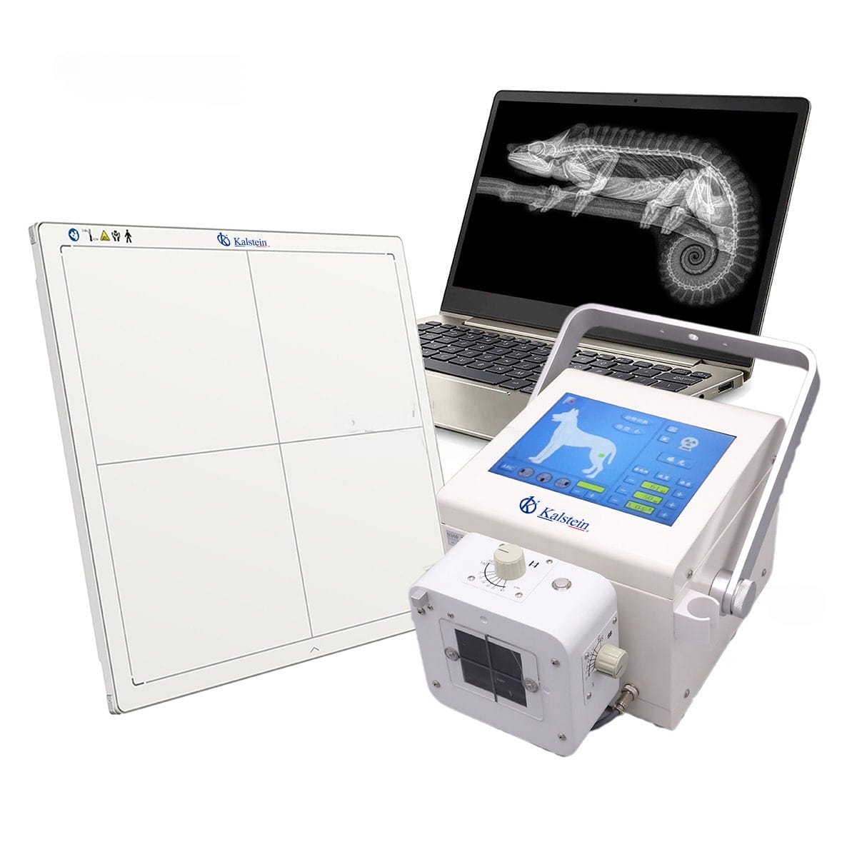 Portable Digital Veterinary X-Ray (DR) YR06160: Essential Insights