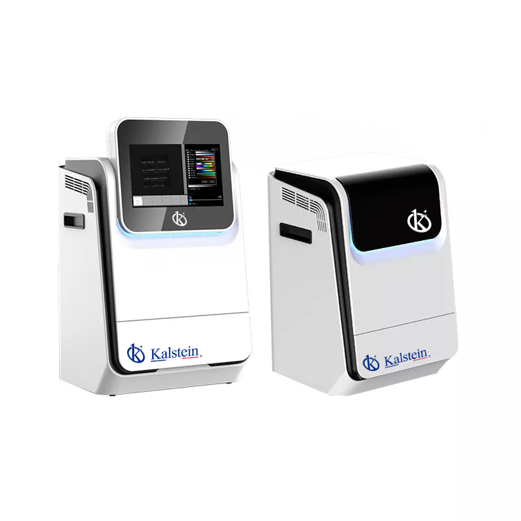 Interpreting Results and Reading Measurements with the YR06207 Gel Documentation System