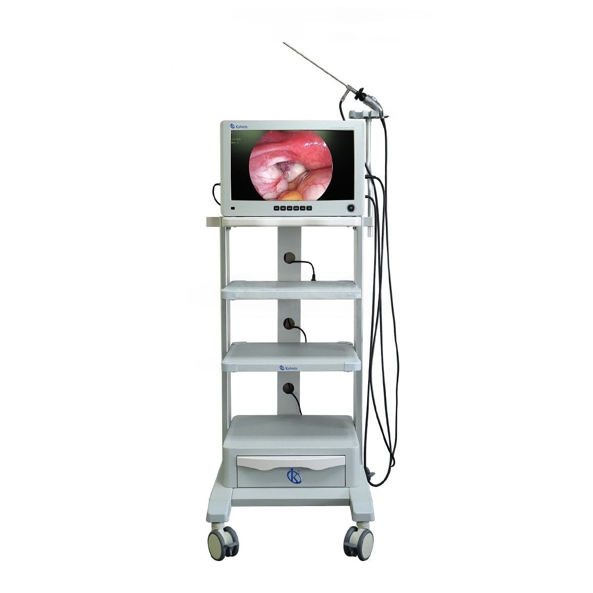 26-inch Mobile High-Definition Endoscopic Imaging System YR06156 – 1
