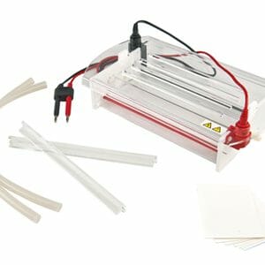 Importance of Electrophoresis for Paternity Tests