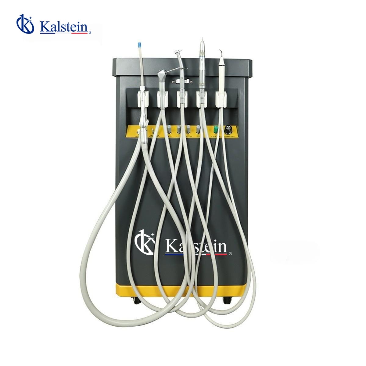 Mobile Veterinary Dental Solutions: A Comparative Analysis of Kalstein YR06193 and iM3 Veterinary Dental Cart
