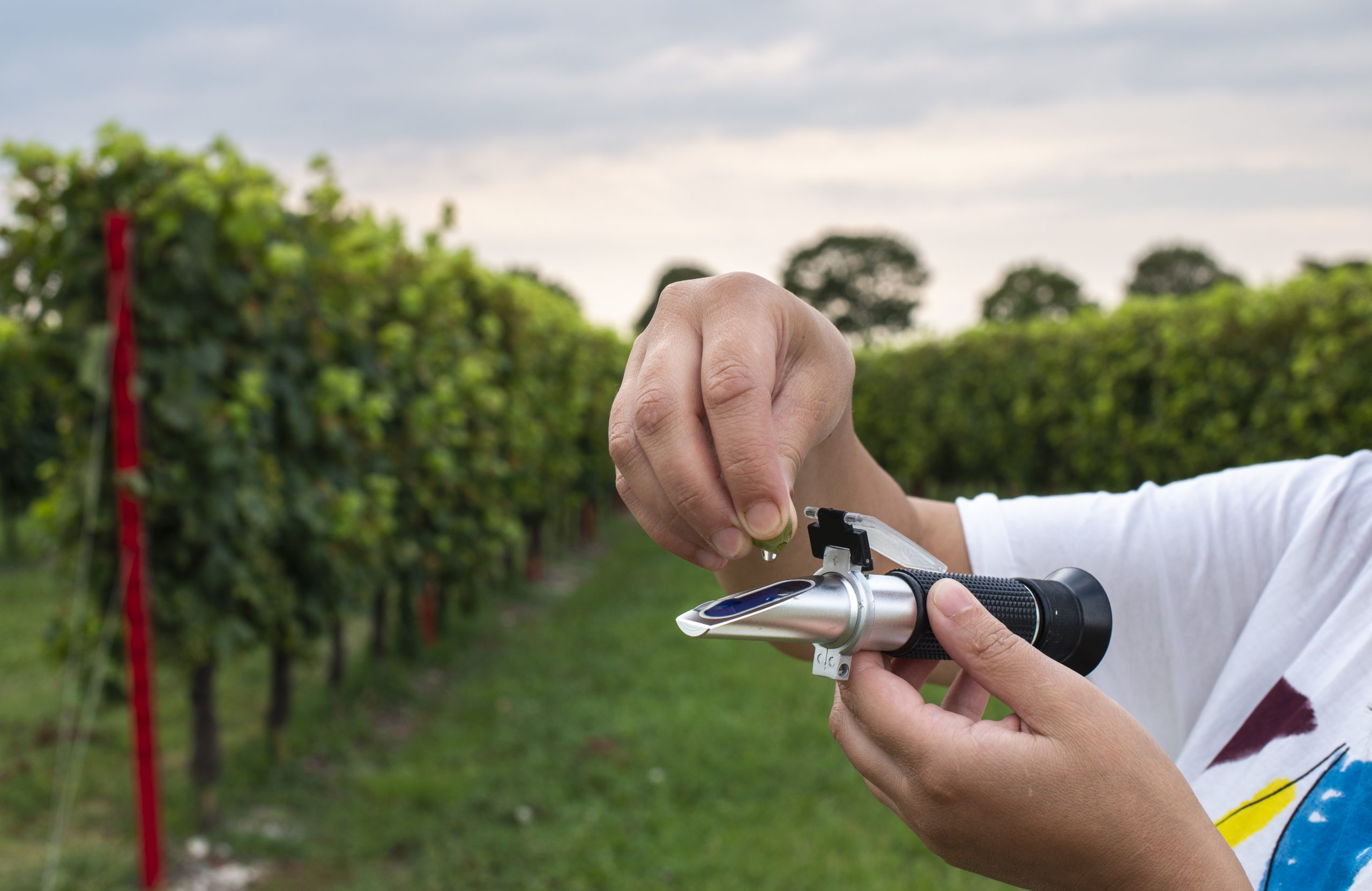 What is the refractometer for in the food industry?